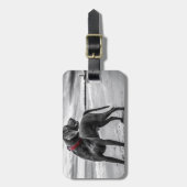 Weimaraner Dog Bagagelabel (Voorkant verticaal)