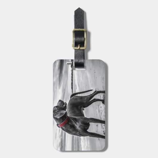 Weimaraner Dog Bagagelabel (Voorkant verticaal)