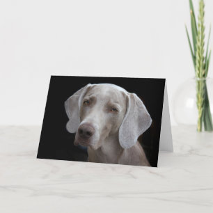 Weimaraner Dog Blank Kaart