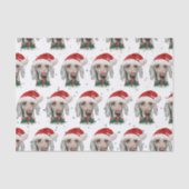 Weimaraner Dog Breed Christmas Stars Tissuepapier (Voorkant)