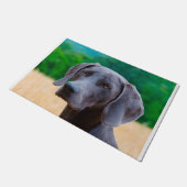 Weimaraner Dog. Deurmat (Schuin)