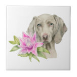 Weimaraner Dog en Lily Waterverf Painting Tegeltje<br><div class="desc">Dit is een waterverf schilderij van een Weimaraner-hond en een roze lelie. Weimaraner is een grote hond die vroeger werd gefokt voor de jacht. Ze heeft een mooie zilveren of muizengrijze jas met blauwe ogen. Dit was met de hand geschilderd op verhit papier voor Arches met Daniel Smith waterverf verven...</div>