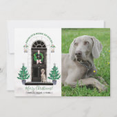 Weimaraner Dog Holiday-kerstfotokaart Kaart (Voorkant)