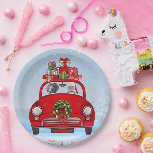 Weimaraner Dog in auto met kerstman Papieren Bordje (Feest)