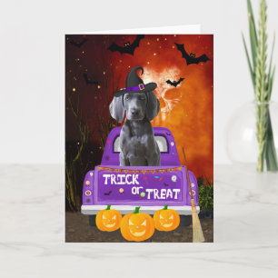 weimaraner Dog in Halloween Truck Kaart
