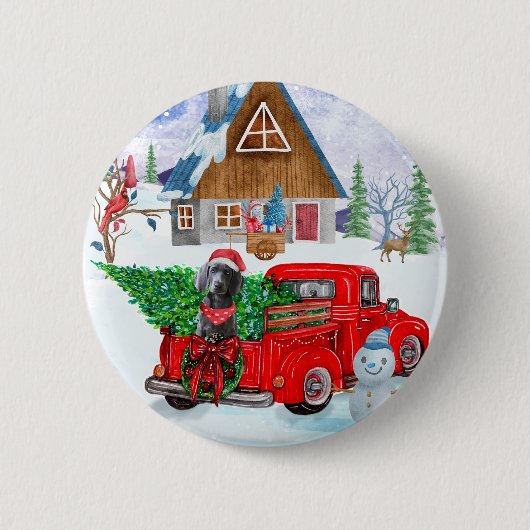 Weimaraner Dog in kerstcadeauwagen Ronde Button 5,7 Cm (Voorkant)