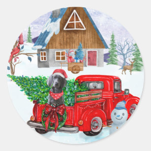 Weimaraner Dog in kerstcadeauwagen Ronde Sticker