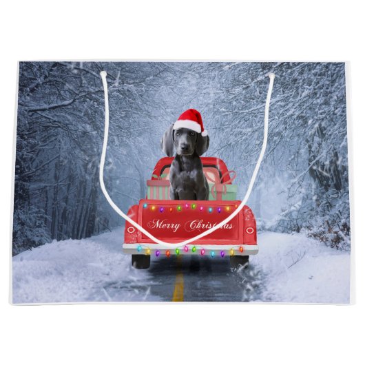 Weimaraner Dog in Snow, dat in kerstmis zit Groot Cadeauzakje (Voorkant)