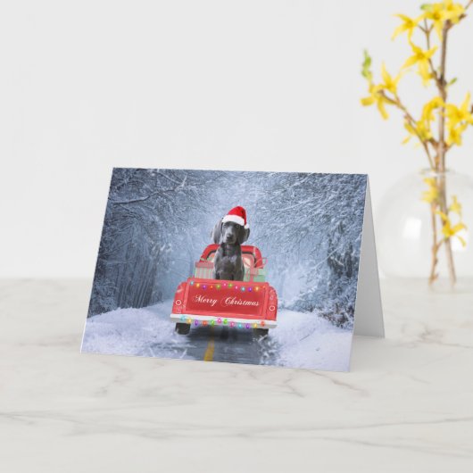 Weimaraner Dog in Snow, dat in kerstmis zit Kaart (Gele Bloem)
