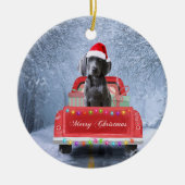 Weimaraner Dog in Snow, dat in kerstmis zit Keramisch Ornament (Voorkant)