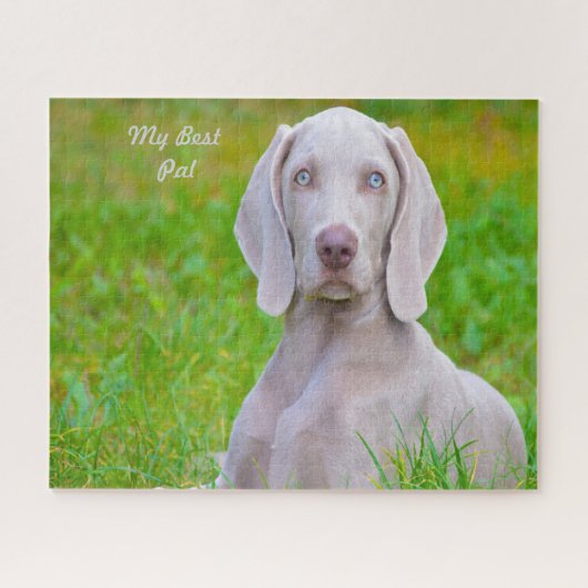 Weimaraner Dog Jigsaws. Legpuzzel (Horizontaal)