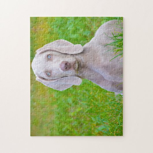 Weimaraner Dog Jigsaws. Legpuzzel (Verticaal)