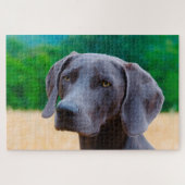 Weimaraner Dog Jigsaws. Legpuzzel (Horizontaal)