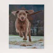 Weimaraner Dog Jigsaws. Legpuzzel (Verticaal)
