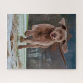 Weimaraner Dog Jigsaws. Legpuzzel (Horizontaal)