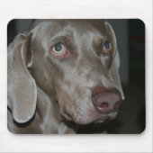 Weimaraner Dog Muismat (Voorkant)