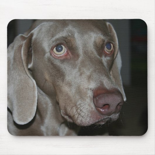 Weimaraner Dog Muismat (Voorkant)