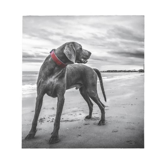 Weimaraner Dog Notitieblok (Voorkant)