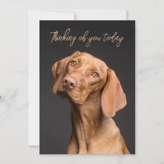 Weimaraner Dog Thinking Of You Kaart (Voorkant)