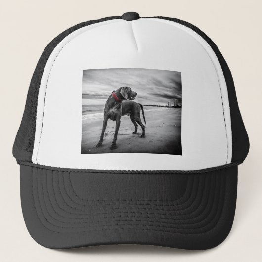 Weimaraner Dog Trucker Pet (Voorkant)