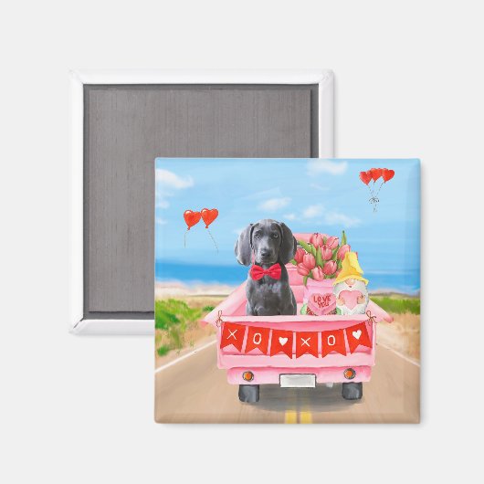 Weimaraner Dog Valentijnsdag Truck Hearts Magneet (Voorkant / Achterkant)
