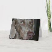 Weimaraner Dog Wenskaart Kaart (Voorkant)