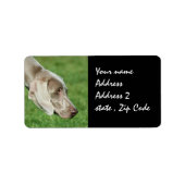 Weimaraner Etiket (Voorkant)