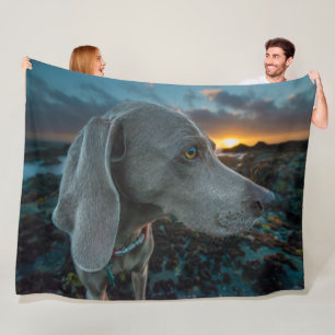 WEIMARANER FLEECE DEKEN
