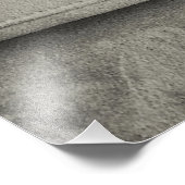 Weimaraner Foto Afdruk (Hoek)