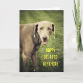 Weimaraner Funny Belated Birthday Card Kaart (Voorkant)