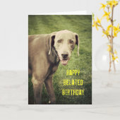 Weimaraner Funny Belated Birthday Card Kaart (Gele Bloem)
