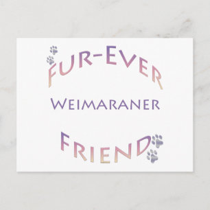 Weimaraner Furever Vriend Briefkaart