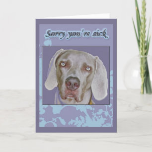 Weimaraner Get Well Card Kaart