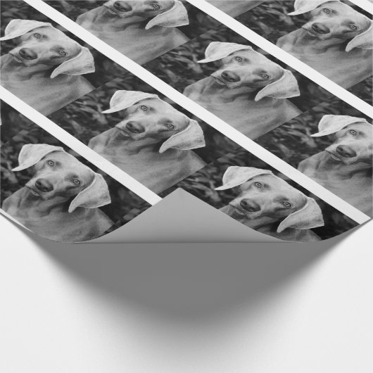 Weimaraner Gift Wrap Cadeaupapier (Hoek)