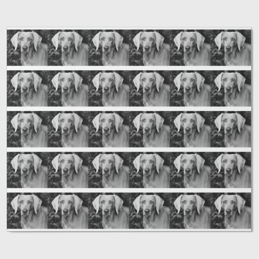 Weimaraner Gift Wrap Cadeaupapier (Vlak)