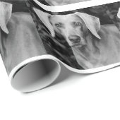 Weimaraner Gift Wrap Cadeaupapier (Rol Hoek)