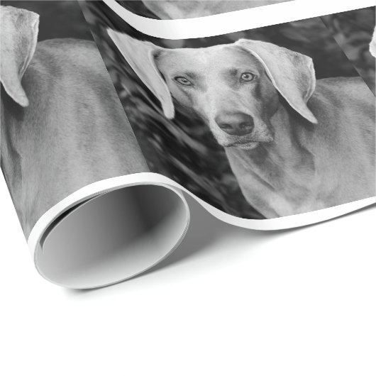 Weimaraner Gift Wrap Cadeaupapier (Rol Hoek)