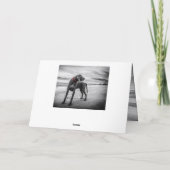 Weimaraner grappige verjaardagskaart kaart (Achterkant)