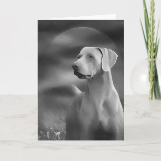Weimaraner Greeting Card Kaart (Voorkant)
