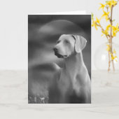 Weimaraner Greeting Card Kaart (Gele Bloem)