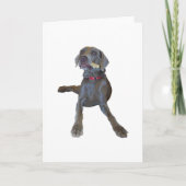 Weimaraner Greeting Cards Kaart (Voorkant)