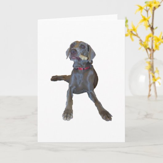Weimaraner Greeting Cards Kaart (Gele Bloem)