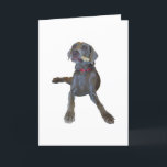 Weimaraner Greeting Cards Kaart<br><div class="desc">Guinny eating a bone.</div>