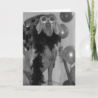 Weimaraner Greetings Card Kaart