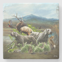 Weimaraner, "Grijze Geest"