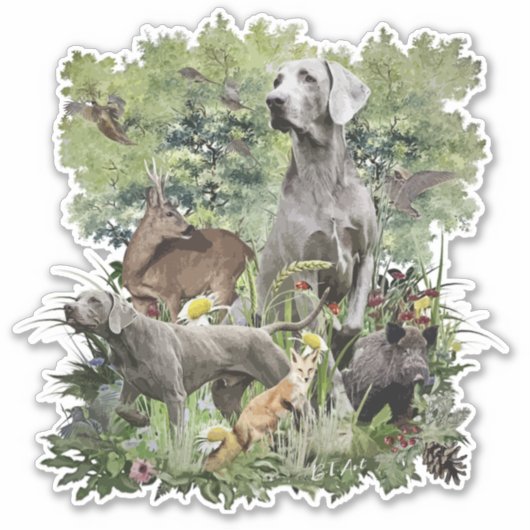 Weimaraner, "Grijze Geest" Sticker (Voorkant)