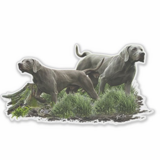 Weimaraner, "Grijze Geest" Sticker (Voorkant)