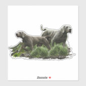 Weimaraner, "Grijze Geest" Sticker (Vel)