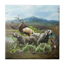 Weimaraner, "Grijze Geest"