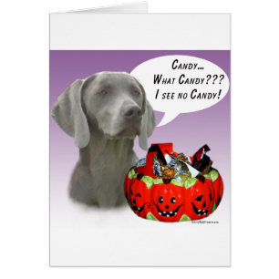 Weimaraner Halloween Snoep